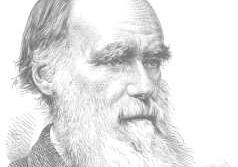 Imagen de Charles Darwin